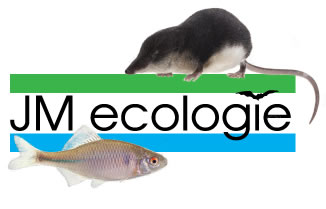 Logo JM ecologie 2016 002